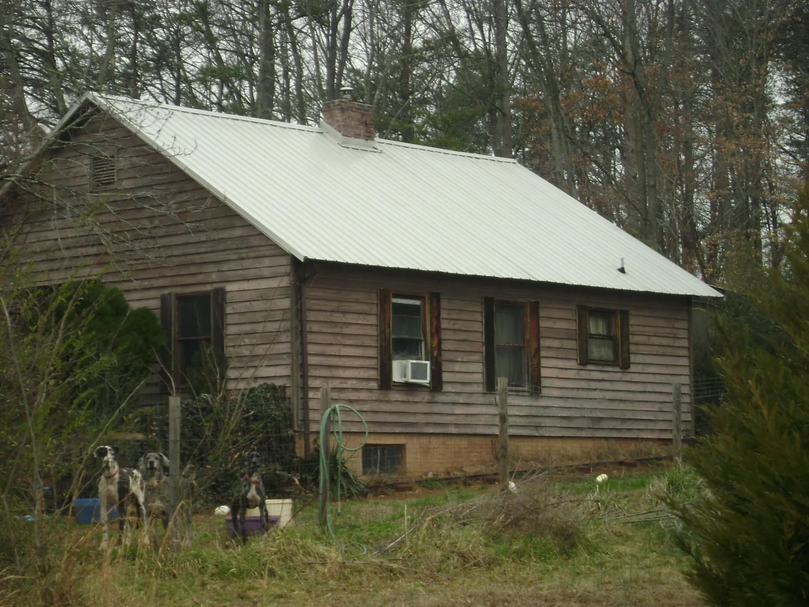 White metal roof on an old wood sided farmhouse, from a Asphalt Shingle Roof Repair job in Salida